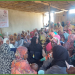 CIVIL SOCIETY  CS Project - WHITE NILE STATE